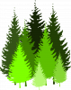 Regional Flag of Pine Forest